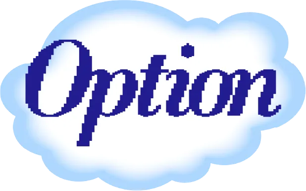 Option