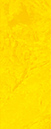 SR-021P