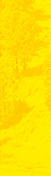 SR-023P