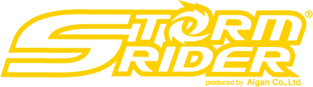 STORM RIDER