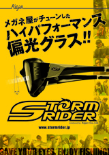 SR2013_B2ポスターA.jpg