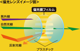 偏光レンズイメージ図