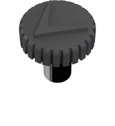 アイコンと竜頭を模したオリジナルデザイン