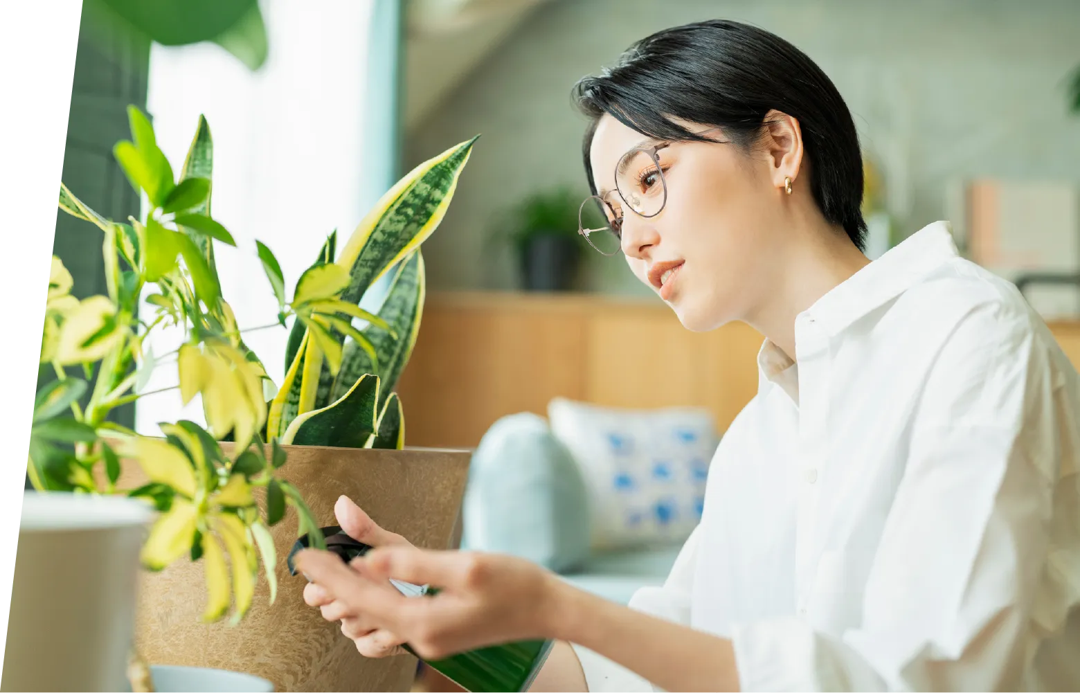 メガネをかけて草花を手入れしている女性