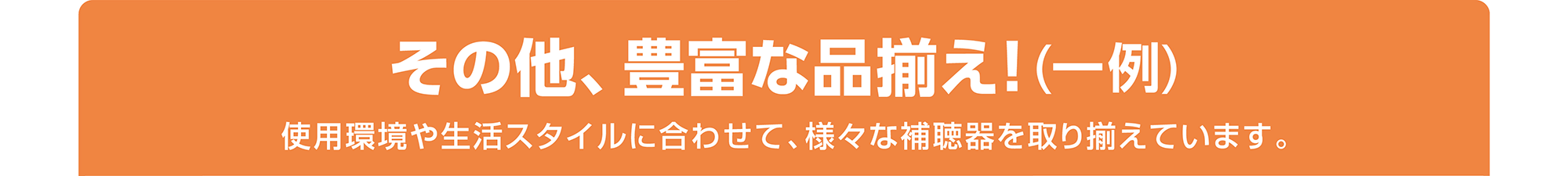 その他、豊富な品揃え！（一例）