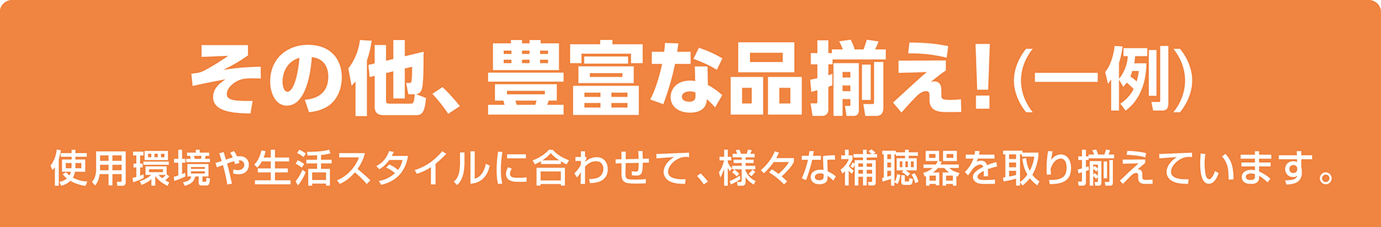 その他、豊富な品揃え！（一例）