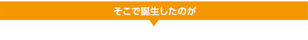 そこで誕生したのが