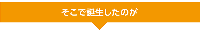 そこで誕生したのが