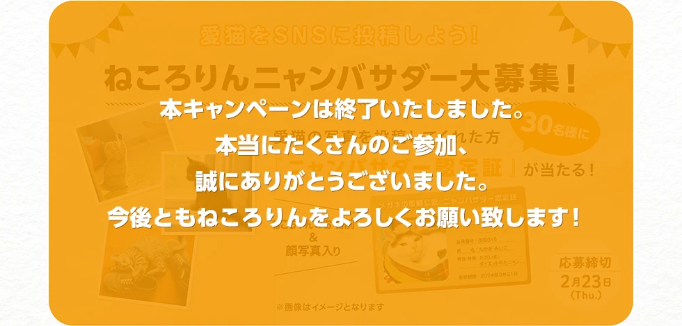 キャンペーン