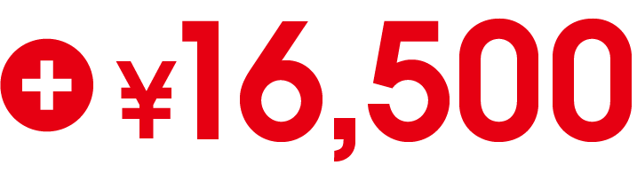 ＋¥16,500