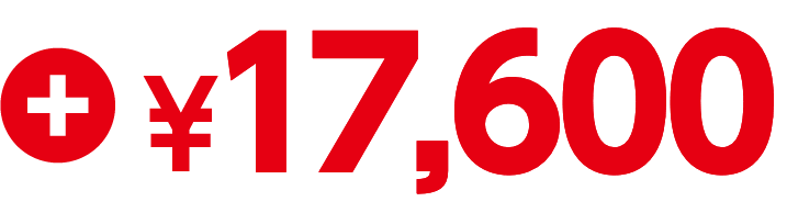 ＋¥17,600