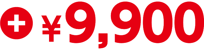 ＋¥9,900