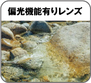 偏光機能有りレンズ