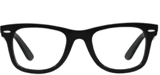 工場から直送されたRay-Banフレームとハイレベルな枠入技術