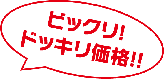 ビックリ！ドッキリ価格！！