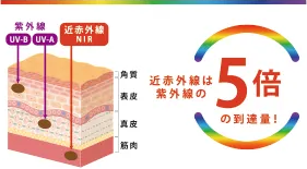 近赤外線は紫外線の5倍の到達量！