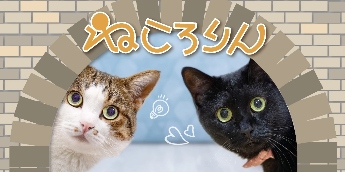 ねこ好き歓喜！愛眼ねころりん新モデル